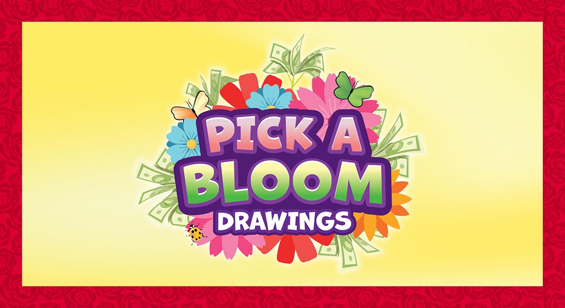 DCGD-65469_Pick_A_Bloom_Drawings_Graphics_1120x610_Web